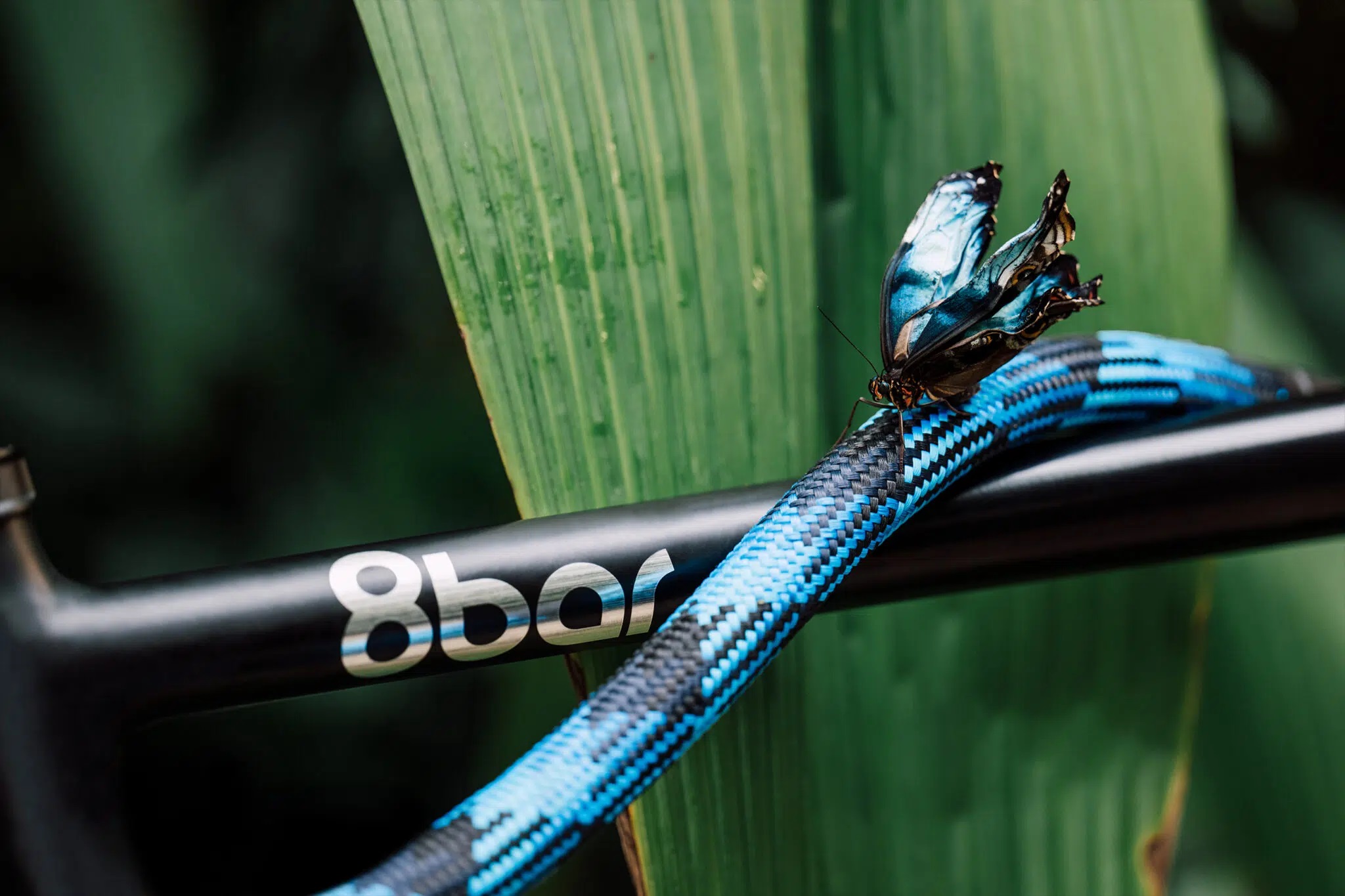 tex-lock mate Textilschloss, morpho blue