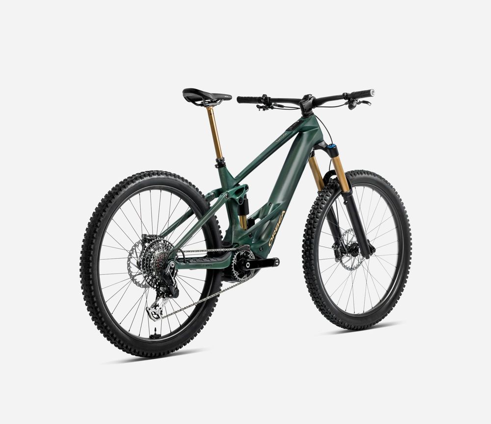 Orbea Wild M10 2025, Forest Green, Rückansicht