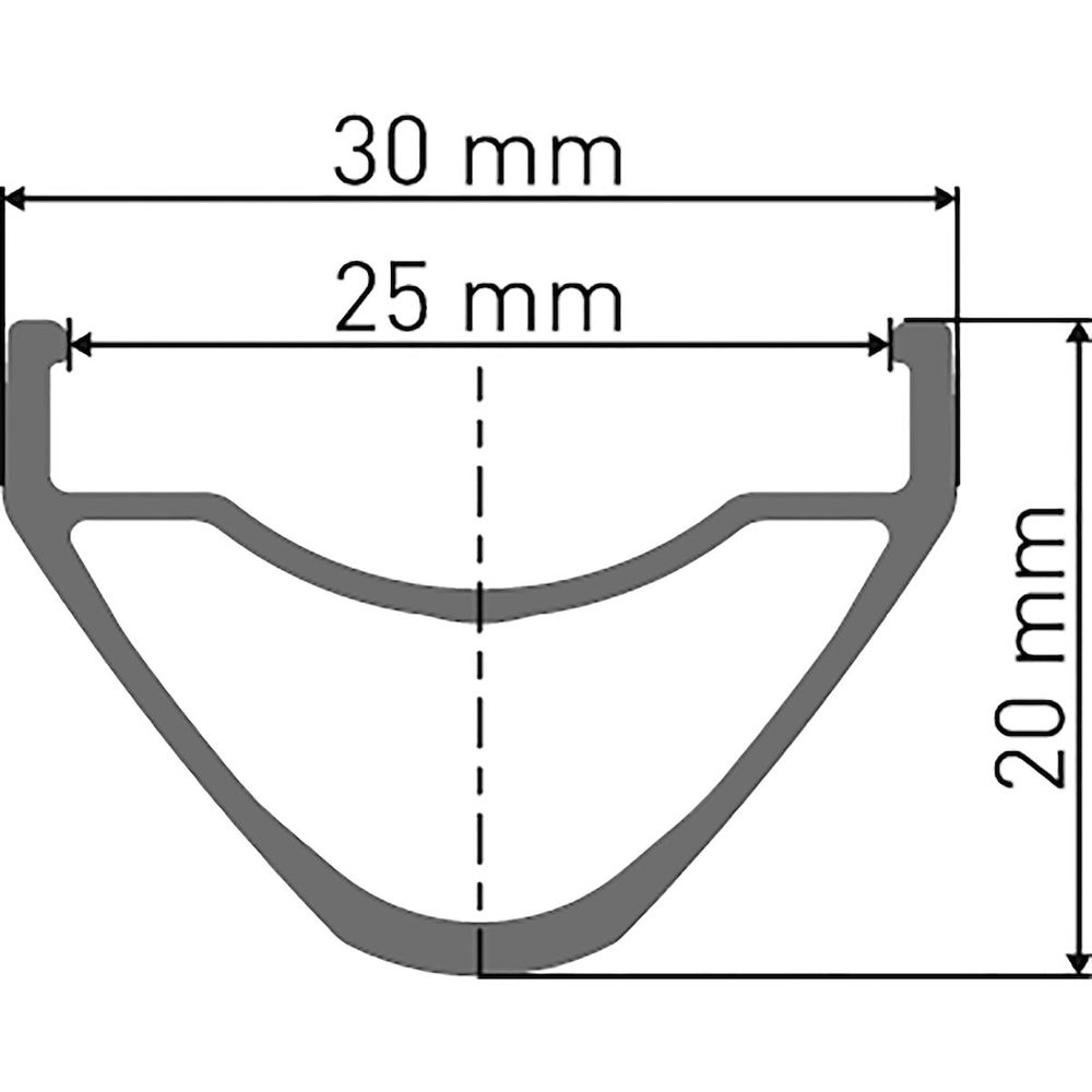 DT Swiss Felge XM 421