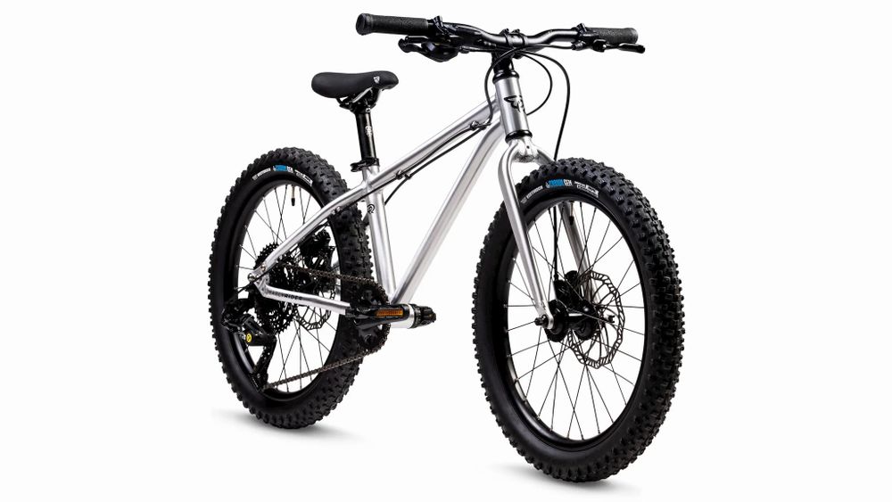 Early Rider, Seeker 20, Trail-MTB Kinderrad 2023 - brushed aluminium