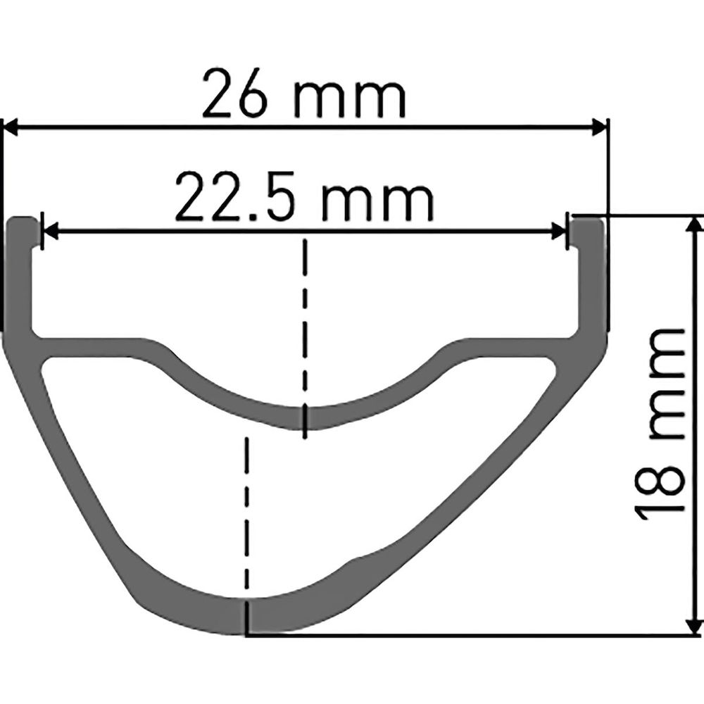 DT Swiss Felge XR 361 Asymmetric