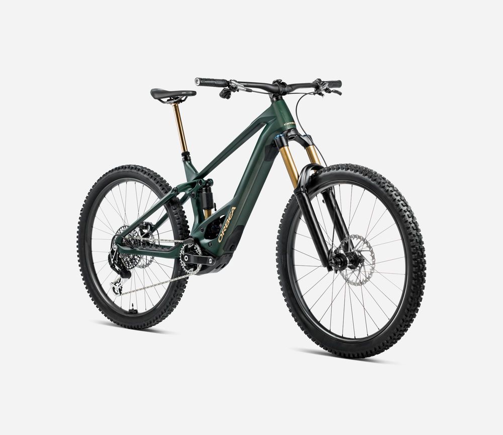 Orbea Wild M-LTD 2025, Forest Green, Vorderansicht