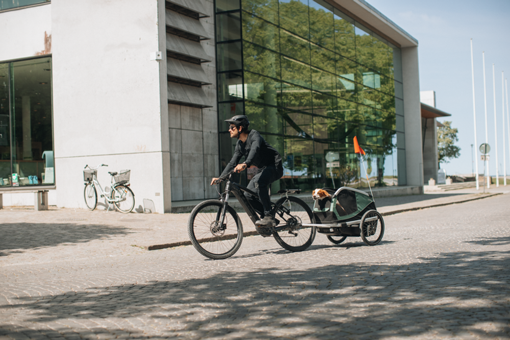 Thule Bexey M Hunde-Fahrradanhänger, in Action