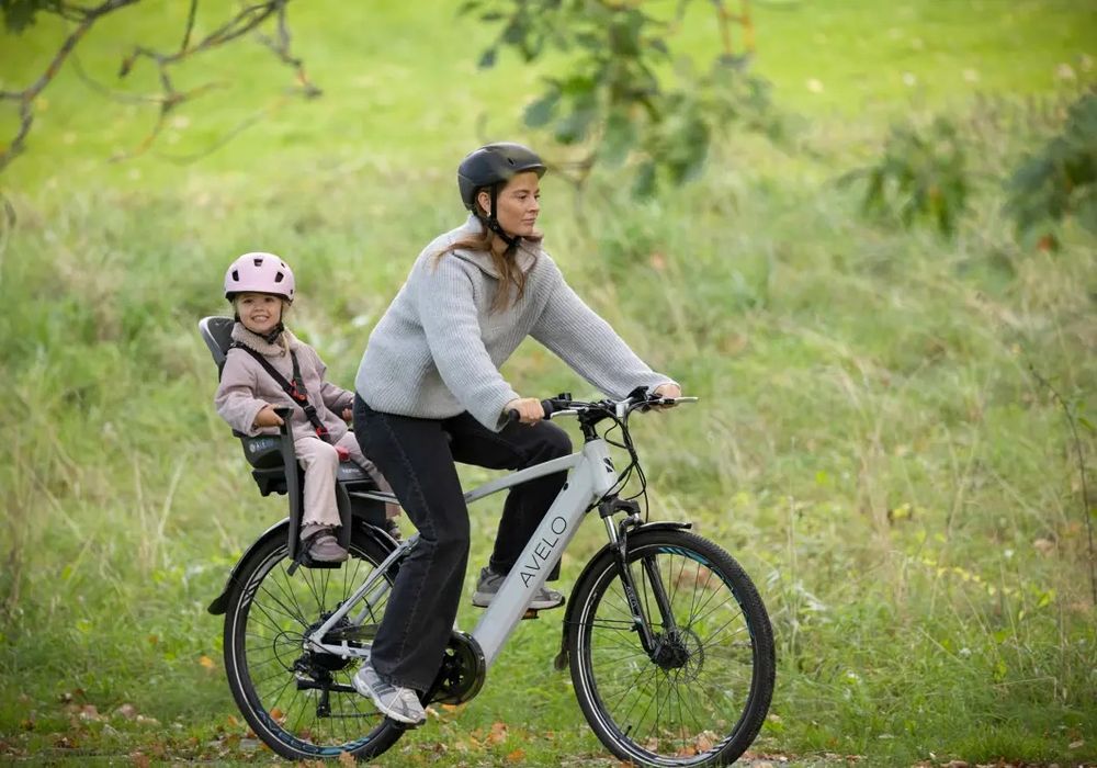 Hamax Siesta Kinder-Fahrradsitz - grau/schwarz