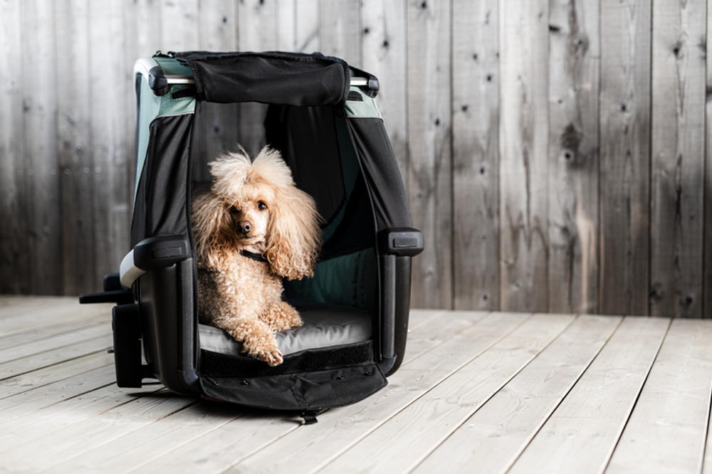 Thule Bexey Dog Bed L, in Action