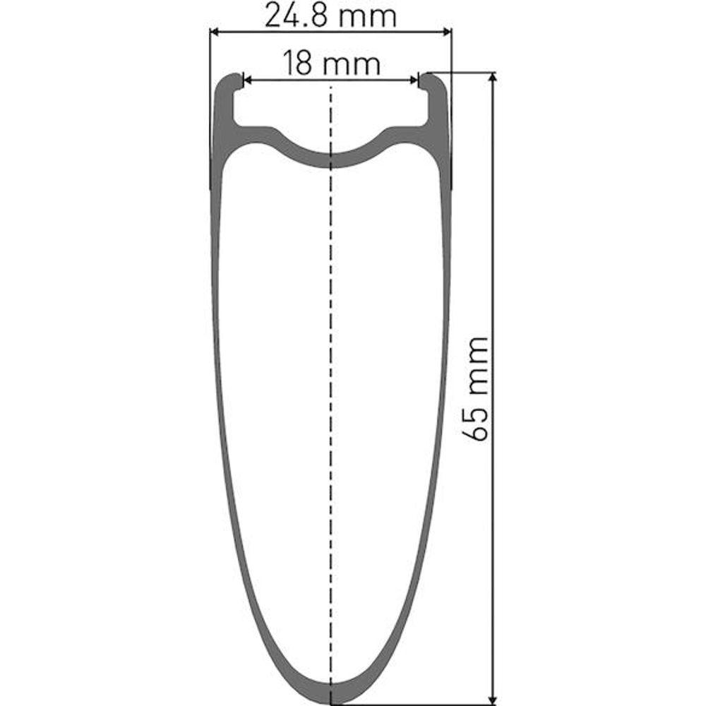 DT Swiss, Laufrad TRC 1400 Classic 65 mm Clincher - VR:100 mm bolt on