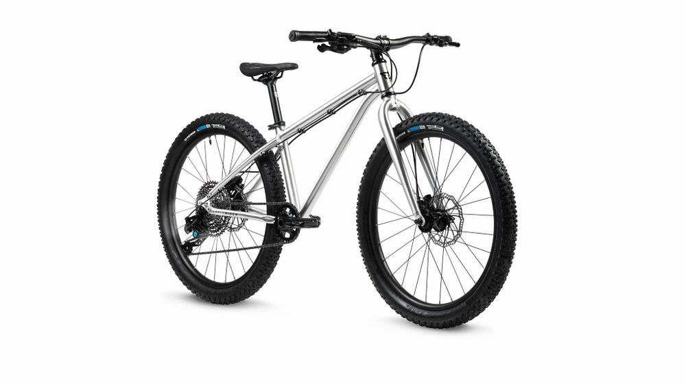 Early Rider, Seeker 24, Trail-MTB Kinderrad 2023 - brushed aluminium