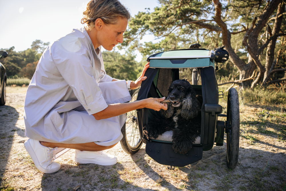 Thule Bexey Dog Bed L, in Action