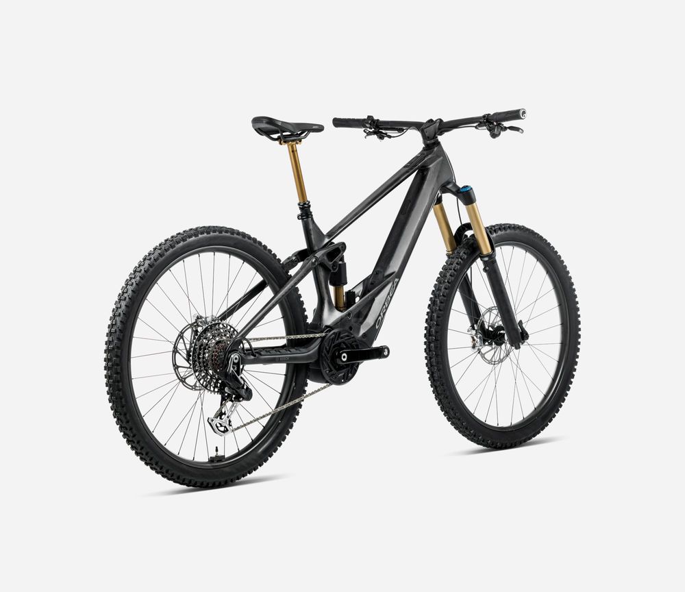 Orbea Wild M10 2024, Carbon Raw 8Matt) - Titanium, Seitenansicht hinten