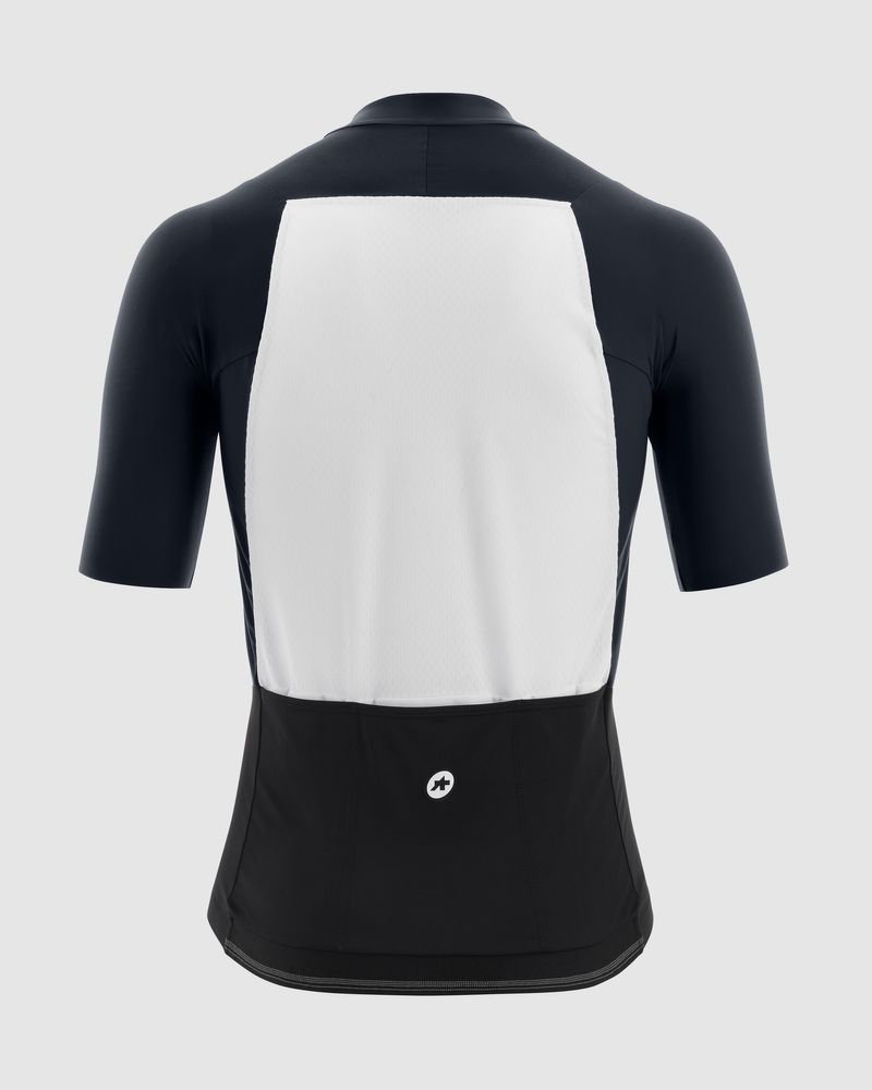 ASSOS Mille GTS Jersey C2 Herren Jersey, Gunpowder Grey, Rückansicht