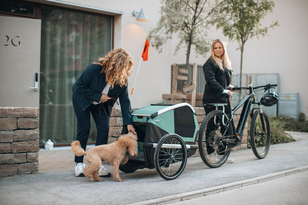 Thule Bexey L Hunde-Fahrradanhänger, in Action