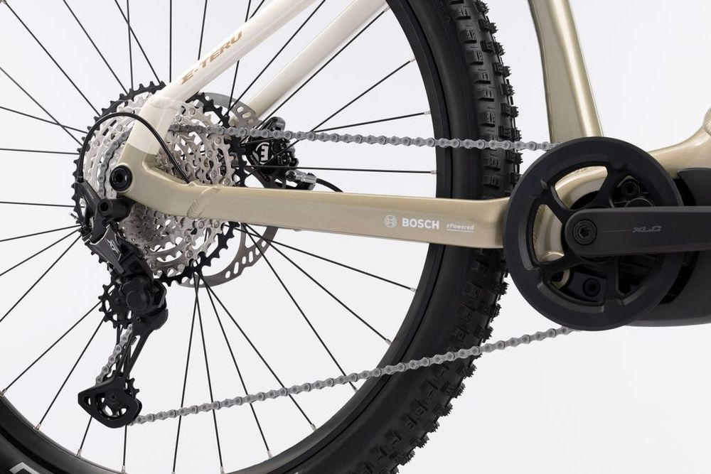 Ghost E-Teru Pro High 2025, dusty trail/dustry green - glossy, Detail