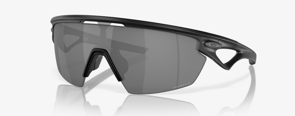 Matte Black - Prizm Black Polarized